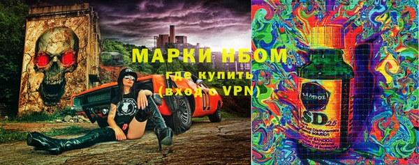 дмт Кукмор