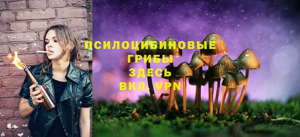 первитин Куйбышев