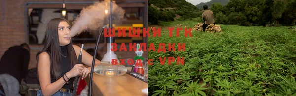 дмт Кукмор